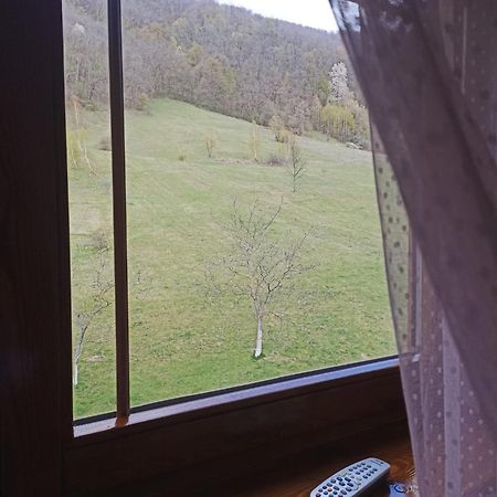 Pensiunea Costesti Buitenkant foto