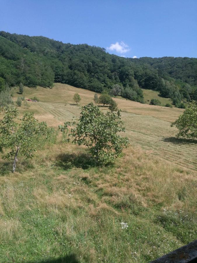 Pensiunea Costesti Buitenkant foto