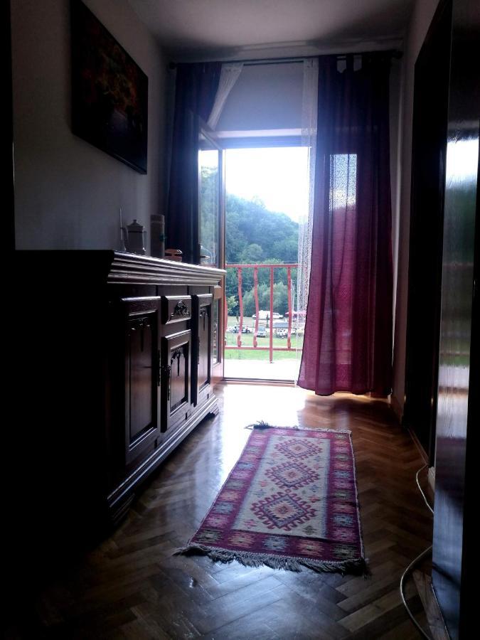 Pensiunea Costesti Buitenkant foto