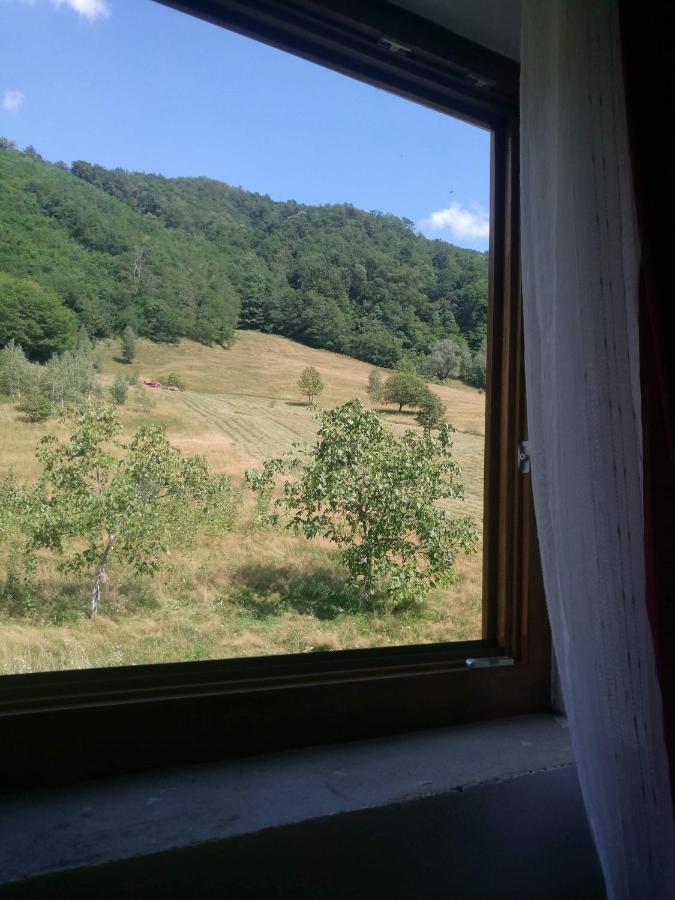 Pensiunea Costesti Buitenkant foto