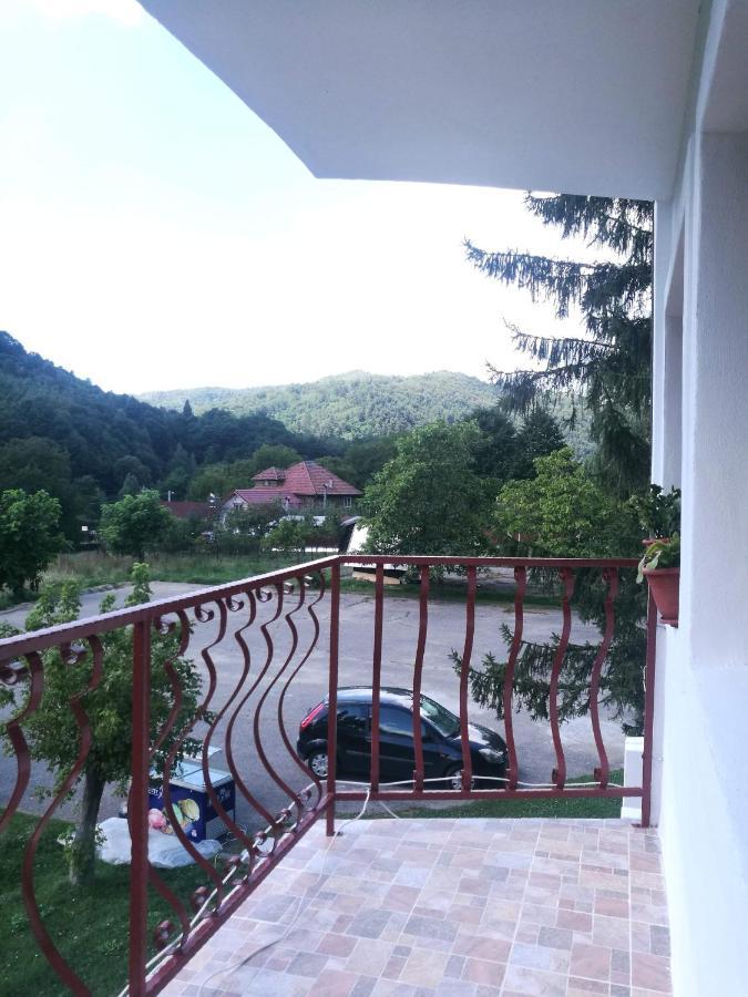 Pensiunea Costesti Buitenkant foto