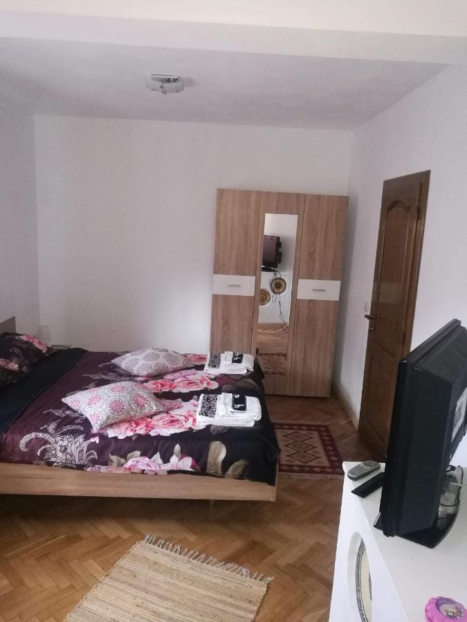 Pensiunea Costesti Buitenkant foto