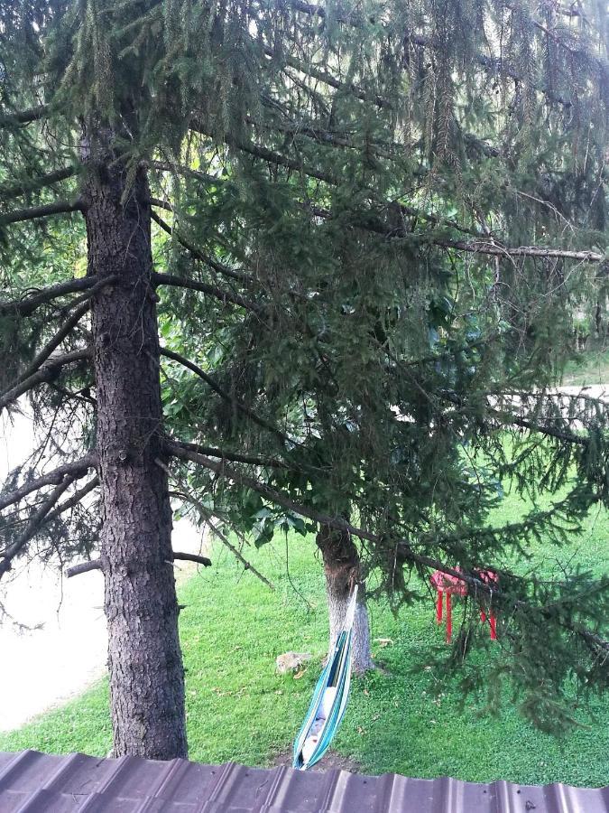 Pensiunea Costesti Buitenkant foto