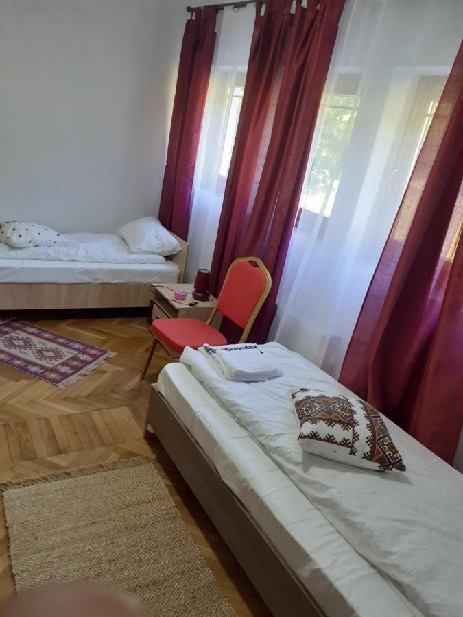 Pensiunea Costesti Buitenkant foto