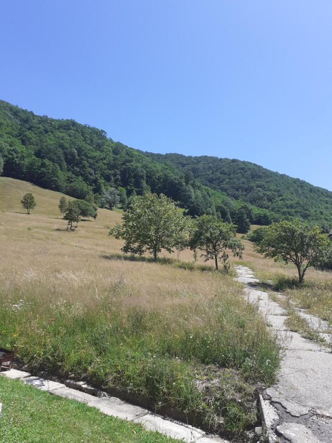 Pensiunea Costesti Buitenkant foto