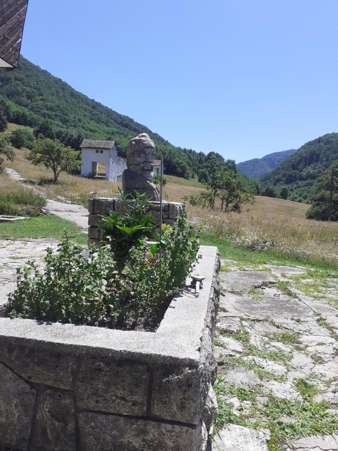 Pensiunea Costesti Buitenkant foto