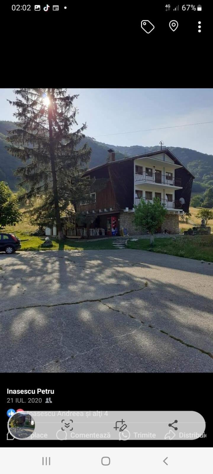 Pensiunea Costesti Buitenkant foto