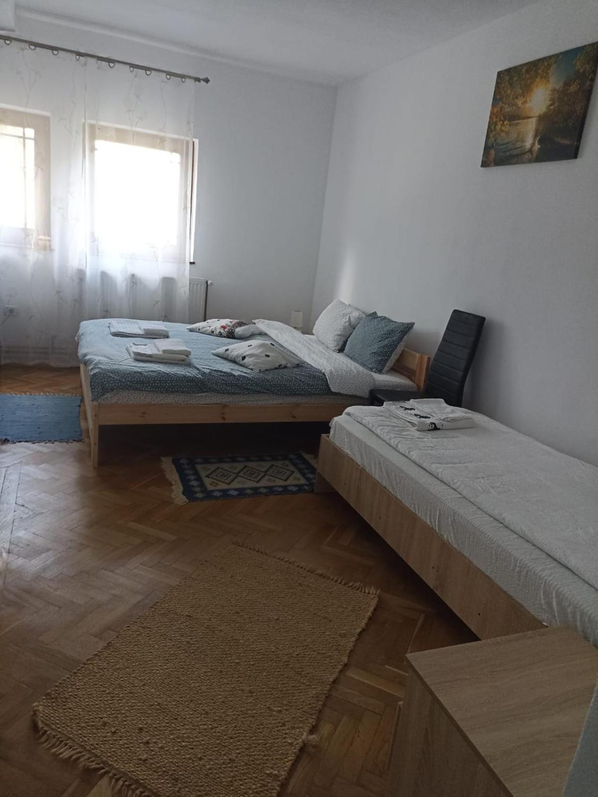 Pensiunea Costesti Buitenkant foto