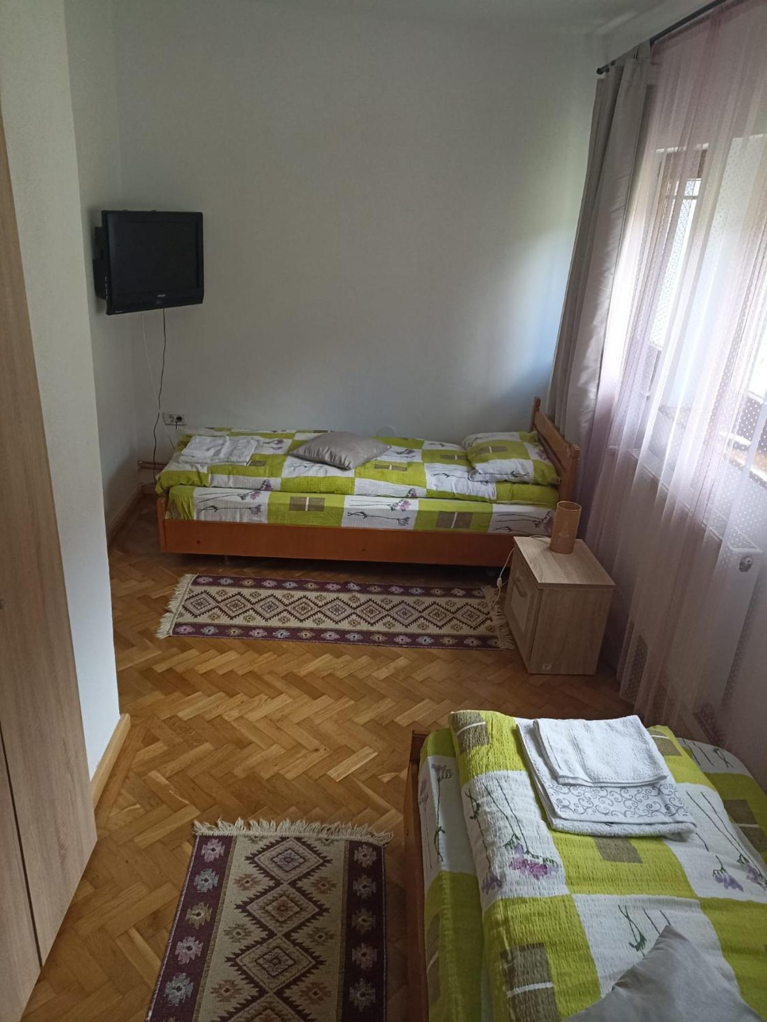 Pensiunea Costesti Buitenkant foto