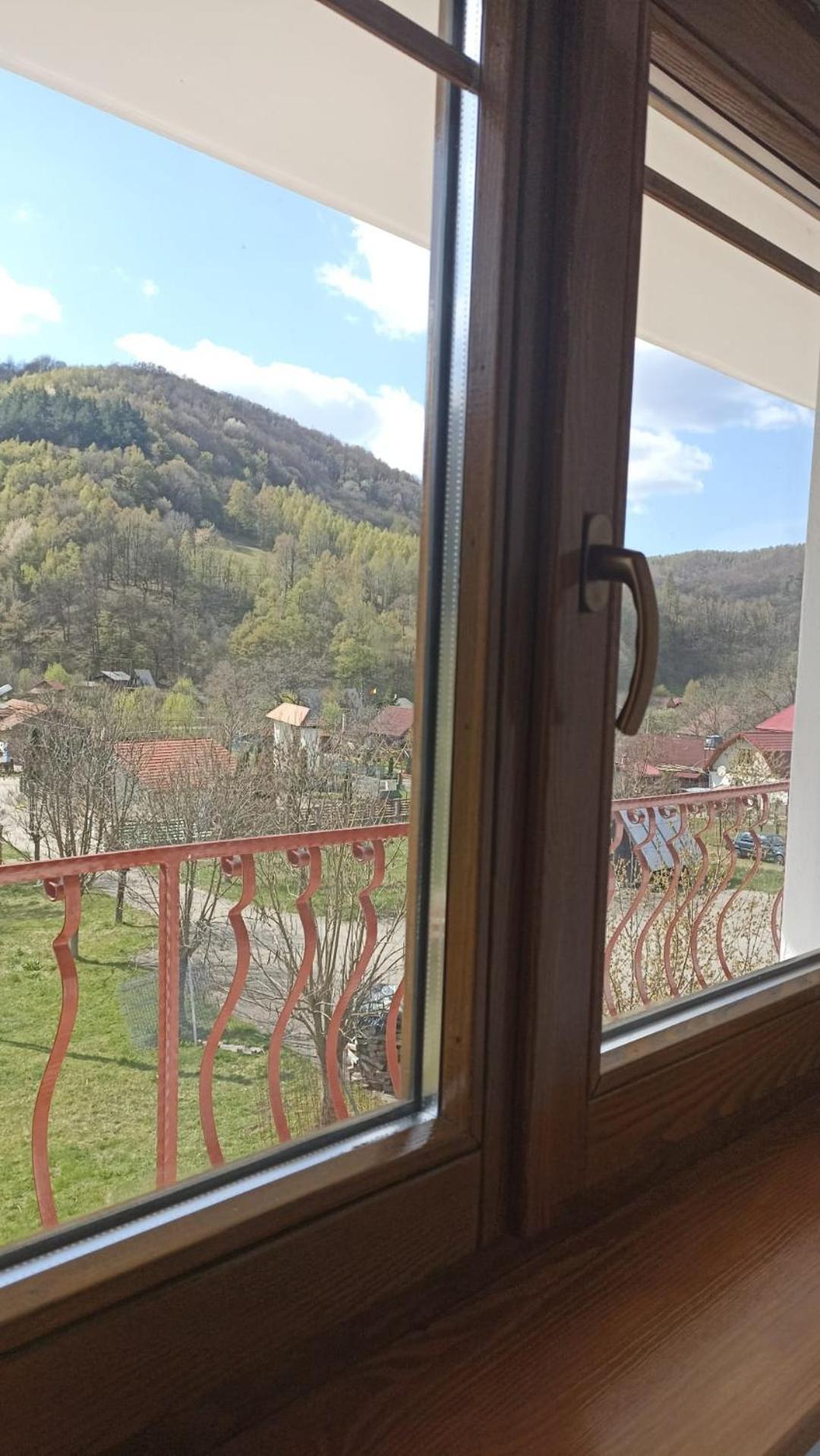 Pensiunea Costesti Buitenkant foto